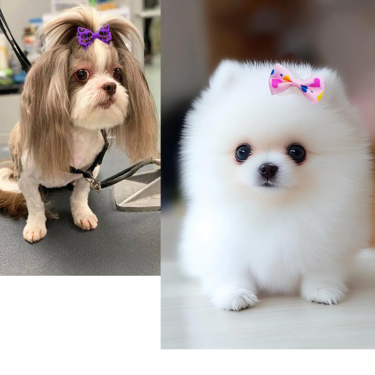 Dog Hair Bows with Clips 2Inch Girl Small Dog Apparel Accessories for Pet Puppy Cat Kitten Rabbit Hair Bows Clips 40PCS