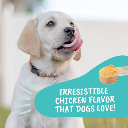 Under The Weather Pet Probiotic Powder for Dogs | Vet Formulated Dog Probiotics Supplement Filled with Good Bacteria | Promotes Healthy Digestion, Appetite, and Strong Immune System| 120 Servings