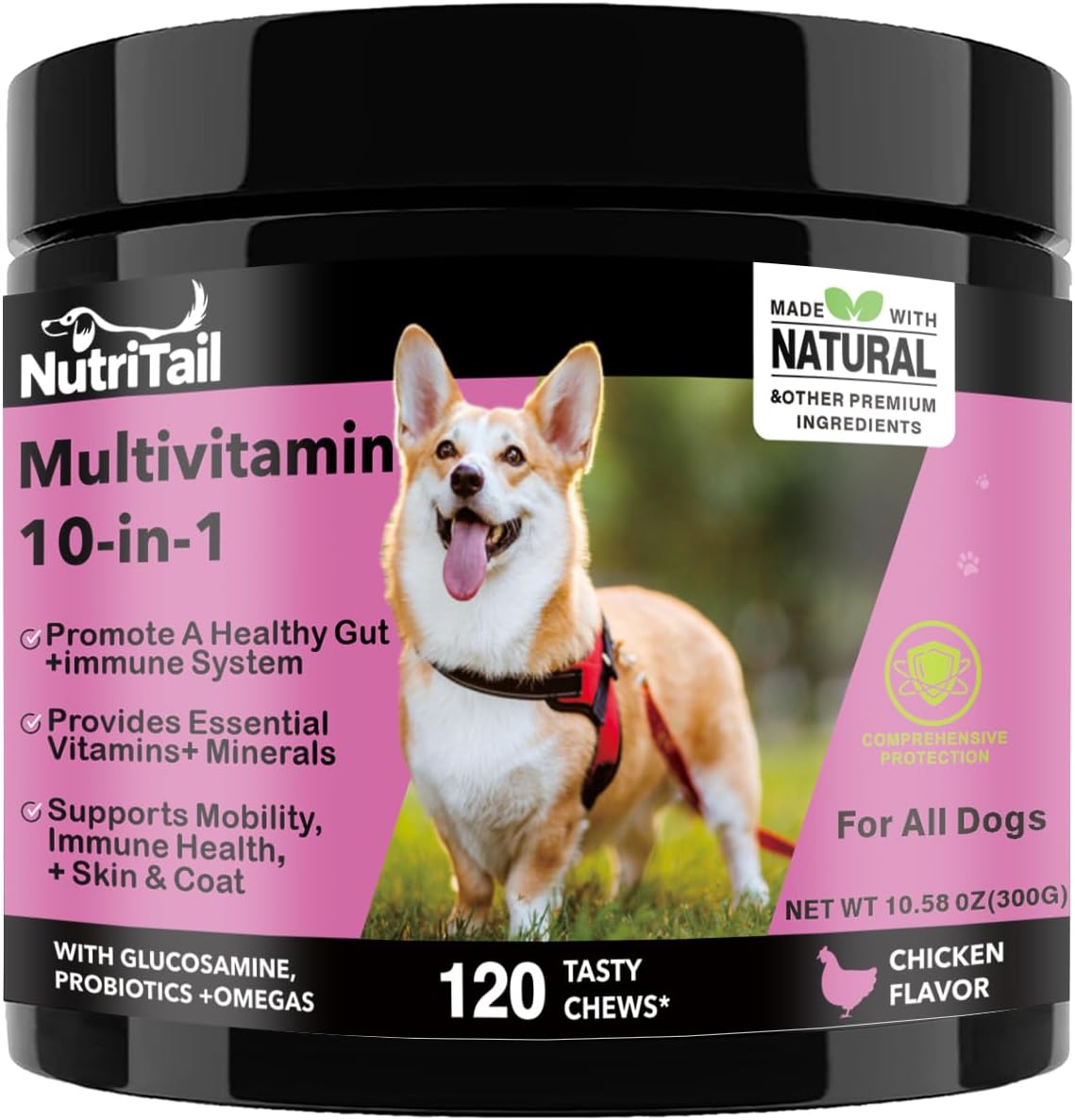 NutriTrail Multivitamin for Dogs – 10-in-1 Soft Chews with Glucosamine, Probiotics, Omega-3, Vitamins & Minerals – Supports Hip & Joint, Digestion, Skin & Coat, and Immune Health – Chicken, 120 Ct