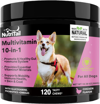 NutriTrail Multivitamin for Dogs – 10-in-1 Soft Chews with Glucosamine, Probiotics, Omega-3, Vitamins & Minerals – Supports Hip & Joint, Digestion, Skin & Coat, and Immune Health – Chicken, 120 Ct