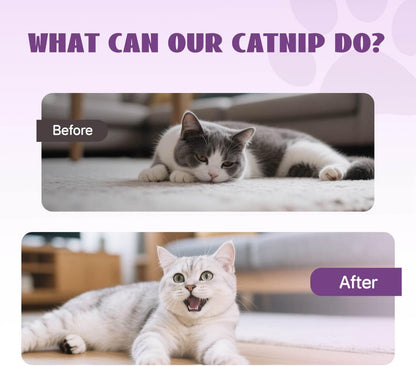 Catnip Spray for Cats, 100% Natural Catnip Mist Spray for Cats & Kittens, Relieves Stress, Calming, Safe for Pets - 2 Fl Oz