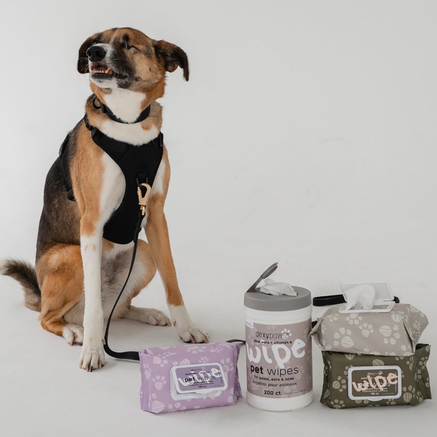 Pet Cleansing Wipes Canister - Aloe Vera & Vitamin E - 200ct - Gentle Wet Wipes for Dogs & Cats, Fur-Paws-Face, Natural Pet Safe Grooming