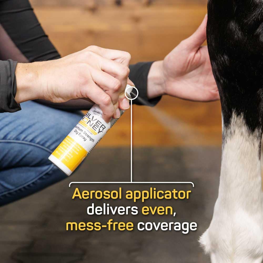 Silver Honey Rapid Wound Repair Maximum Strength Dry Spray 100 ml / 3.38 oz, Manuka Honey + MicroSilver BG, Equine First Aid & Wound Care