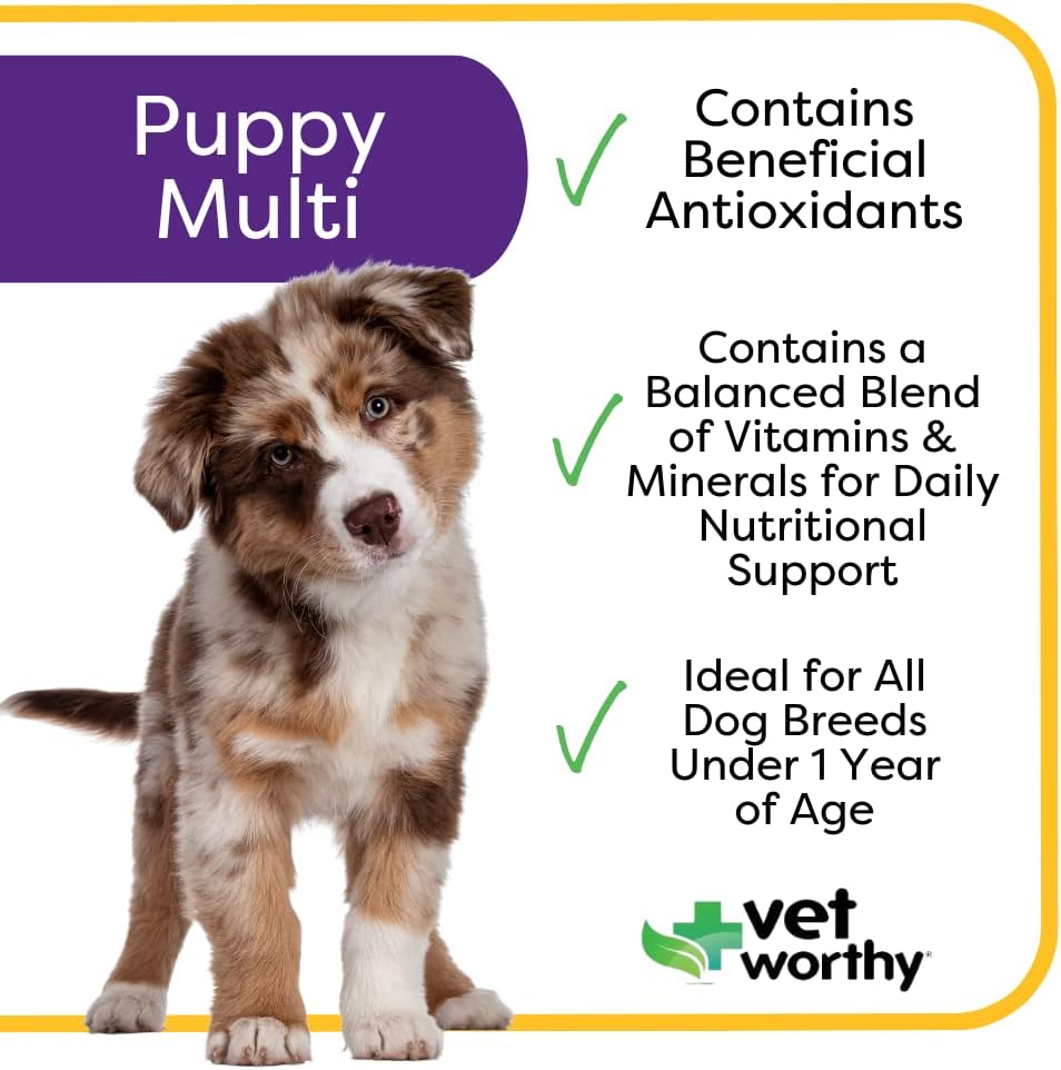 Vet Worthy Puppy MultiVitamins - Multivitamin for Puppies to Support Optimum Health & Overall Wellness - Dog Supplement with Iron,Magnesium,Zinc,Vitamin A,B Vitamins - Liver Flavor,60 Chewable Tablets