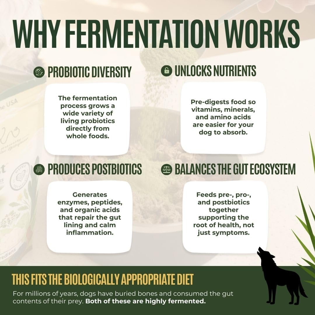 Gussy's Gut Youthful Grasses & Sprouts Dog Gut & Digestive Health Supplement- Human Grade Fermented Ingredients- Super Greens, Pre/Post & Probiotic All in One - Maintain Protocol