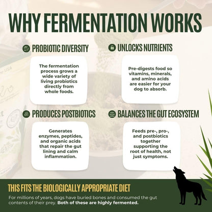 Gussy's Gut Youthful Grasses & Sprouts Dog Gut & Digestive Health Supplement- Human Grade Fermented Ingredients- Super Greens, Pre/Post & Probiotic All in One - Maintain Protocol