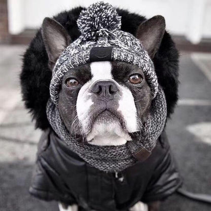 Polar Pom Pom Dog Winter Hat - Warm Knitted Pet Hat with Ear Holes & Long Tassel, Perfect for Small Dogs (Grey, Medium)