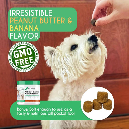 Balanced Breed Dog Health Bundle – All-in-1 Vitamins + Probiotics & Digestive Enzymes (2 × 60 Soft Chews)