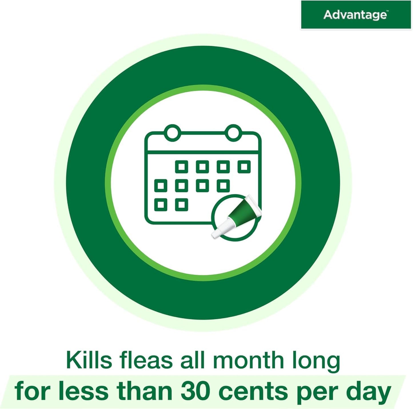 Bundle of Advantage Topical Cat Flea Treatment and Prevention for Small Cats 2-9 lbs. + Advantage Household Fogger for Home | 2 oz. Canisters (Pack of 3)