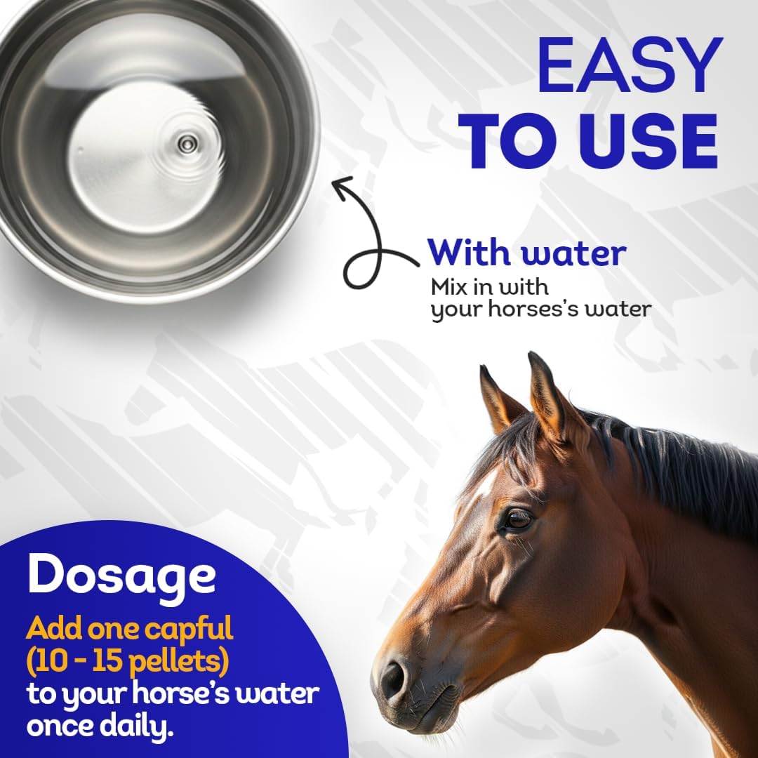 HA4E - Horse Colic Support - Reduces Abdominal Pain & Stomach Issues - Highly Effective, Natural Homeopathic Supplement - 300 Tablets