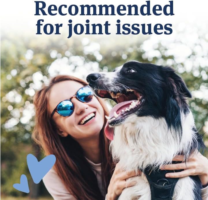 PetArmor Aspirin for Large Dogs, Fast Acting Anti-Inflammatory and Pain Relief For Dogs, Vet-Quality Joint Support and Pain Meds for Dogs, 120 Liver Flavored Tablets