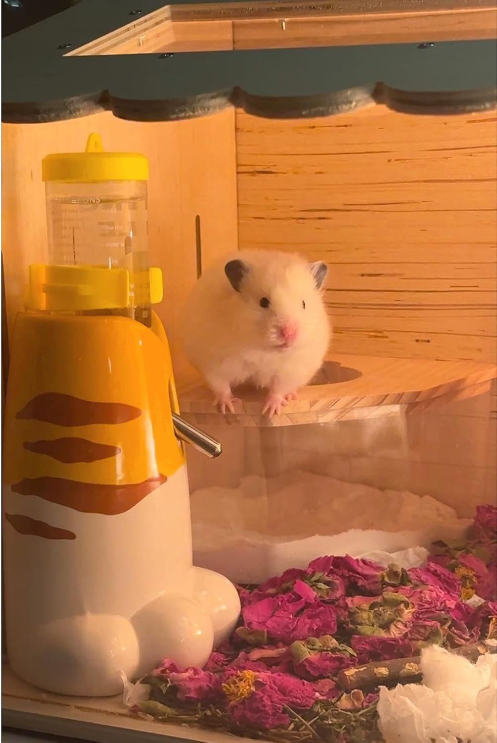 Hamster Water Bottle with Stand, Small Animal Standing Water Dispenser, Ceramic Base, Leak Proof, Auto Dispenser for Hamster Guinea Pig Squirrel Rabbit Hedgehog