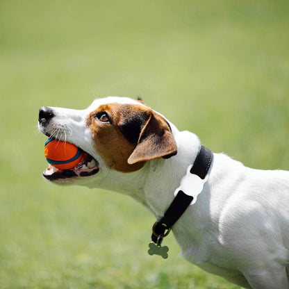 SWINCHO for AirTag Dog Collar Holder [2 Pack] Waterproof High-Strength Elastic Silicone Dog Cat Air Tag Holder, (Black&White)