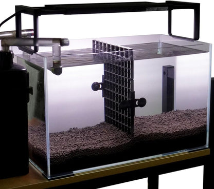 LINLAN Aquarium 10 Pieces Divider Suction Cup Clips, Glass Fixing Clips, Plastic Mesh Board Isolation Holders for Fish Tank (White-Translucent)