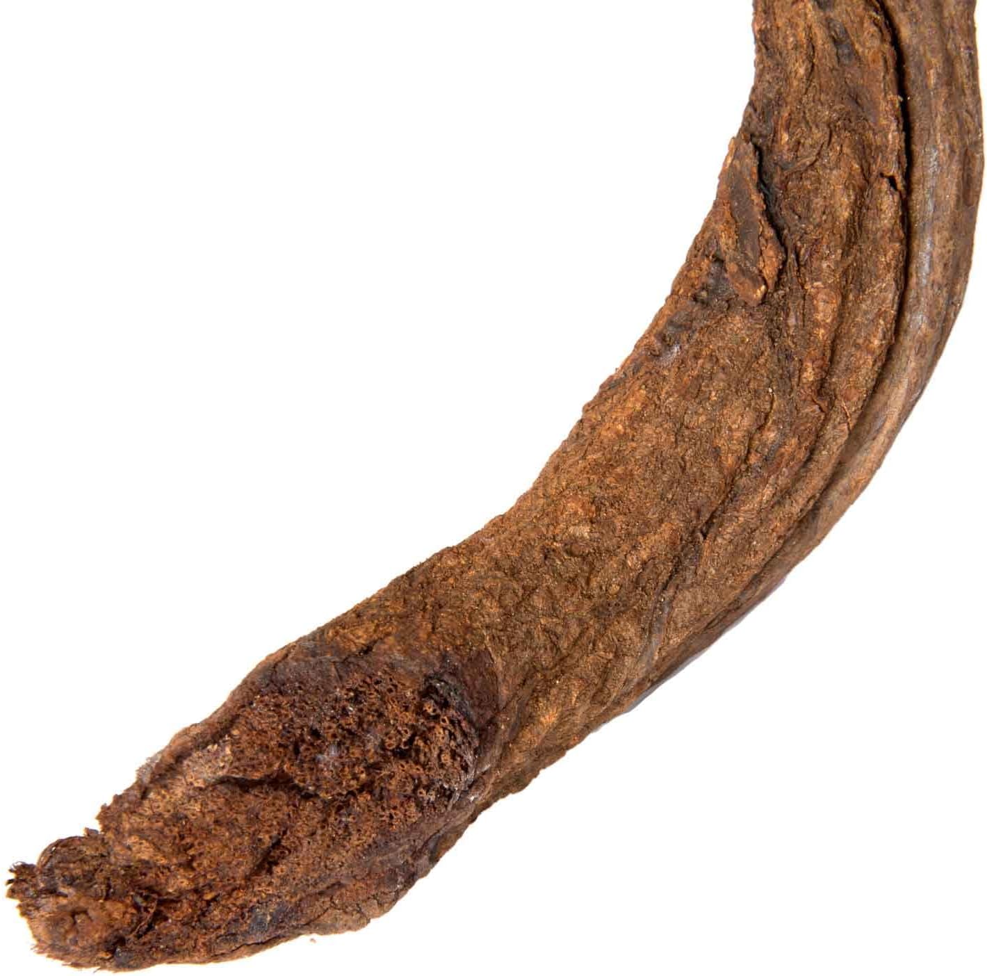 Galapagos (05312) Jungle Wood, Natural Brown, 3 Ft.