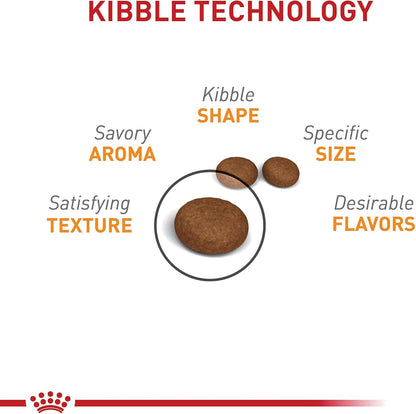 Royal Canin Feline Care Nutrition Hair & Skin Care Adult Dry Cat Food, 3 lb Bag