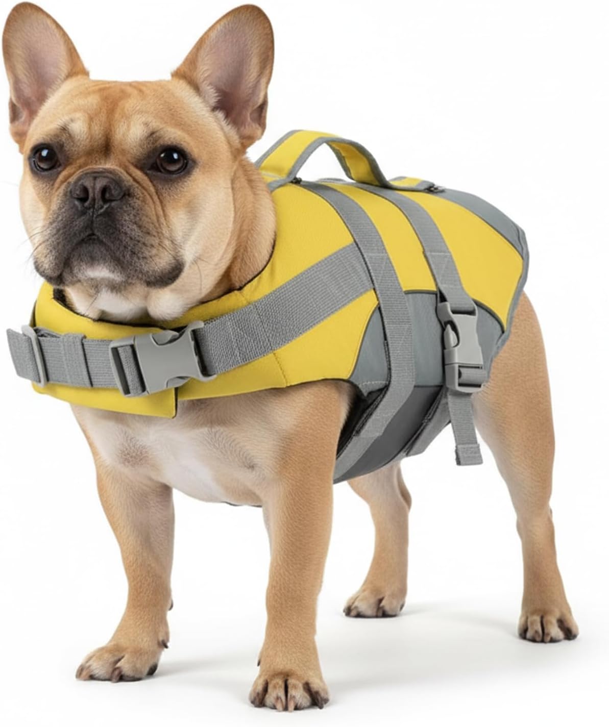 Geyecete Dog Life Jacket Large High-Visibility Life Vest for Dogs with Strong Buoyancy-Reflective with Handle for Swimming & Boating-Yellow-XL
