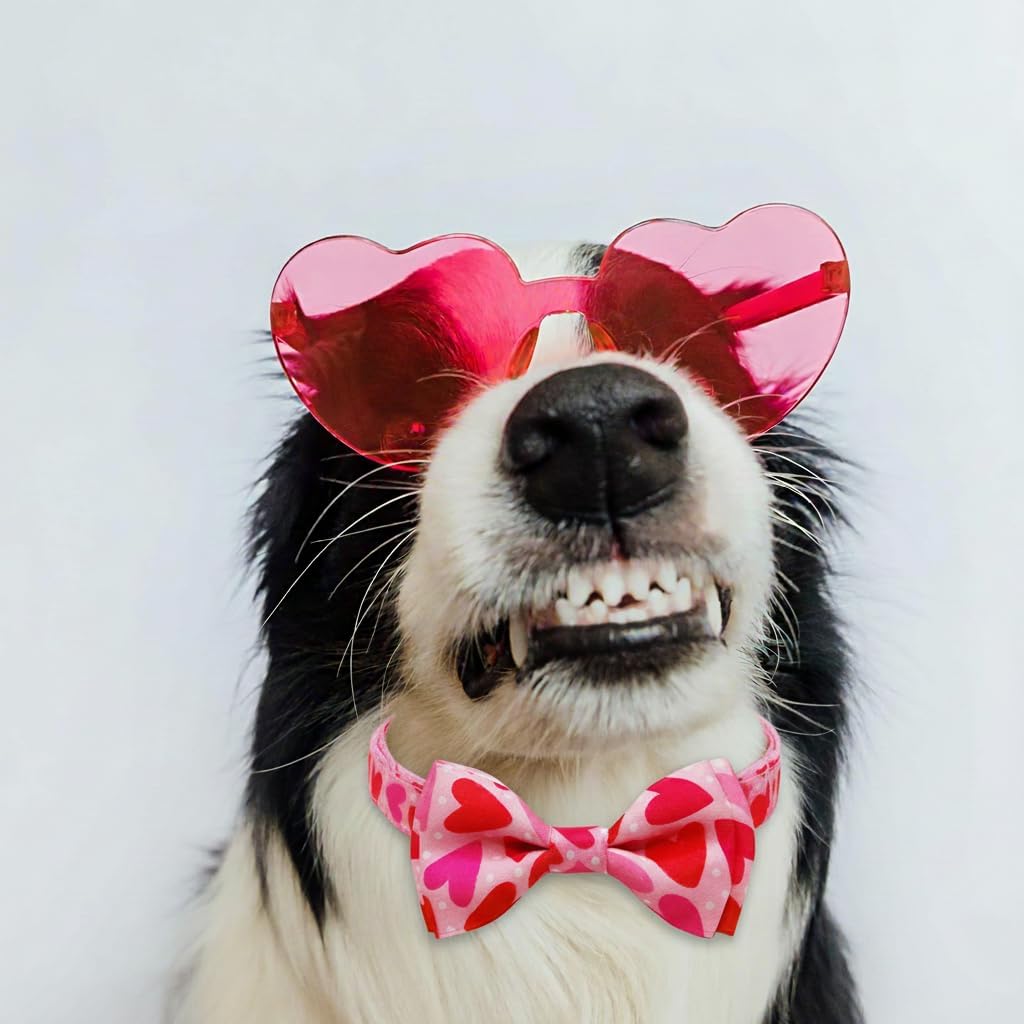 Valentine Dog Collar with Bow Tie, Holiday Quick-Release Red and Pink Heart with White Polka Dots Pattern for Small Medium Large Pets Puppies