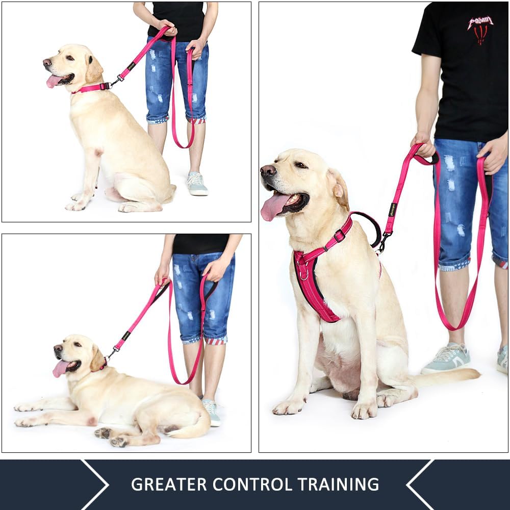 Plutus Pet Double Handle Dog Leash 6ft Long, Padded 2 Handle, Heavy Duty, Reflective Training Leash for Medium Large Dogs, Dual Handle Lead (Pink)