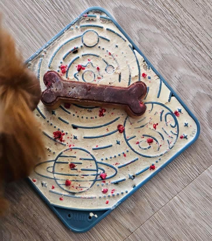 OHMO Lick Mat for Dogs and Cats(Small, Camo&Light Green, 2pcs)&No Spill Collapsible Dog Water Bowl