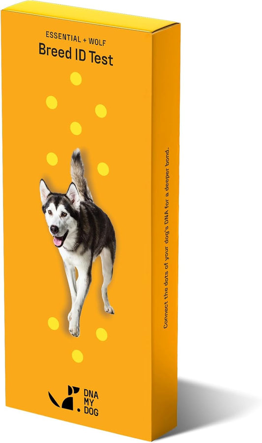 DNA MY DOG Essential + Wolf Breed ID Test– Trusted & Affordable Breed + Wolf Test | 350+ Breeds Identified w/ 99%+ Accuracy | Complete Breed Analysis + Wolf, Personality | Results in 2 Weeks