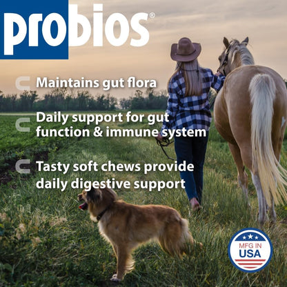 Probios for Horses Soft Chews, Daily Probiotic Supplement for Gut Health, Digestion & Immune Support, Horse Supplies, Apple Flavor, 1.32 lbs (600 Grams) (Pack of 2)