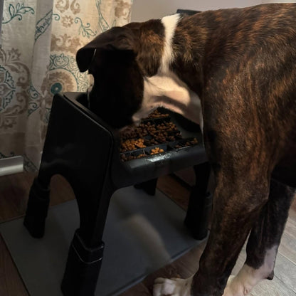 Fluff Trough XL Binge Blocker – Elevated Slow Feeder Dog Bowl with Silicone Slow Feeder Insert, Raised Dog Bowl & Food Container for Medium Large Dogs, Vet Recommended Elevated Dogs Dish (Black)