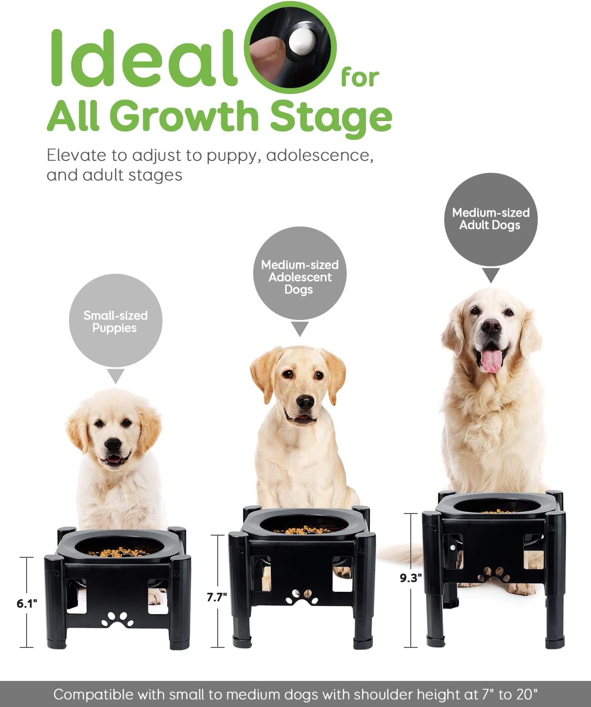 Pawque Elevated Slow Feeder Bowls - Adjustable Raised Dog & Cat Bowl with 3 Heights (6.1", 7.7", 9.3") for Medium & Small Pets, Mess Proof & Non-Slip Dish Feeder