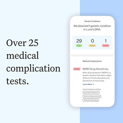 Wisdom Health Essential Dog DNA Kit | Most Accurate Test | 365+ Breeds | 30 Genetic Health Conditions | 50+ Traits, Relatives, Ancestry | Pack of 1