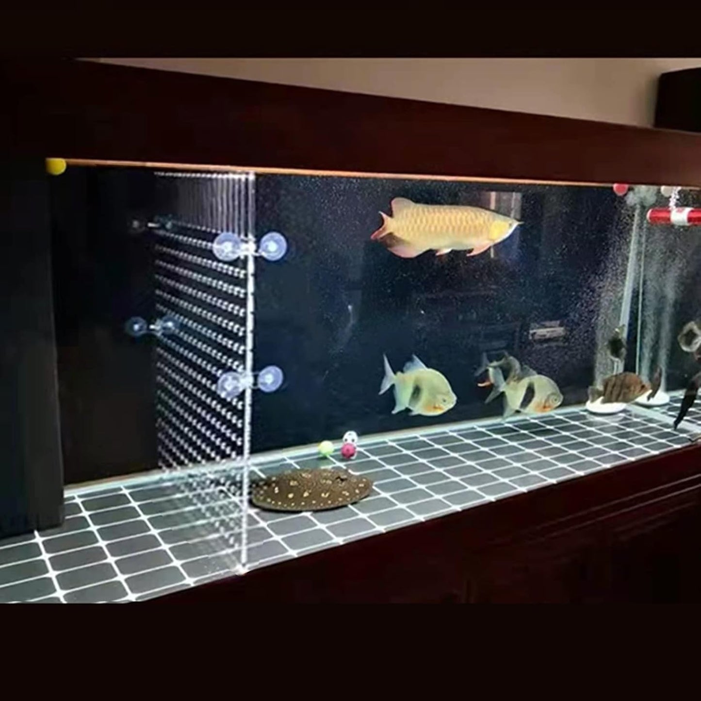 Aquarium Fish Tank Divider Acrylic Isolation Grid Board with Suction Cups Included Clear Fish Separator Transparent Plate Baffle Cover Blocking Fish Partition Net 30x40cm/11.81x15.74in