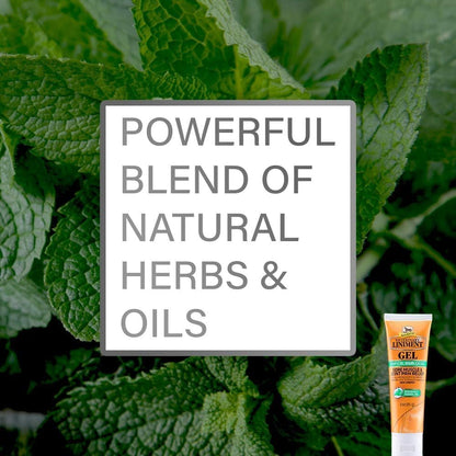 Absorbine Veterinary Liniment Gel