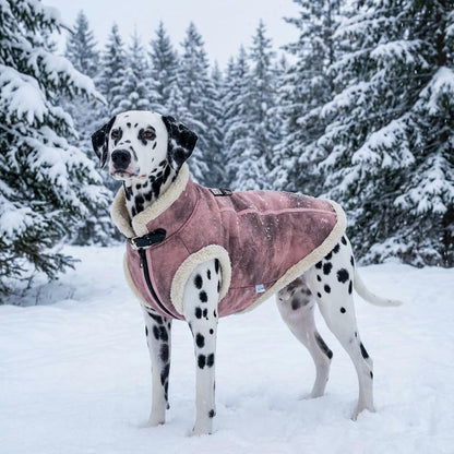 Retro Aviator Dog Jacket – Faux Leather Winter Coat with Plush Sherpa Fleece Lining for Dogs, Pilot Style Costume for Extra Large Puppies, Bomber Windbreakers for Boy & Girl Doggie, Pink XXL