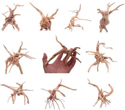 10pcs Natural Small Spiderwood Driftwood for Aquarium Decor Aquarium Driftwood Freshwater Reptile Driftwood Aquarium spiderwood (spiderwood 5-6inch 10pcs)