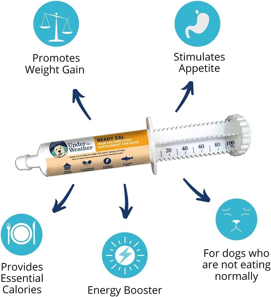 Under the Weather Pet | Ready Cal for Dogs 100cc | High Calorie Supplement | Dog Weight Gainer and High Calorie Booster | 10 Vitamins, 7 Minerals & Omega Fatty Acids (2 Pack)