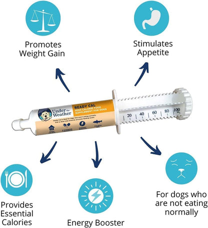 Under the Weather Pet | Ready Cal for Dogs 100cc | High Calorie Supplement | Dog Weight Gainer and High Calorie Booster | 10 Vitamins, 7 Minerals & Omega Fatty Acids (2 Pack)