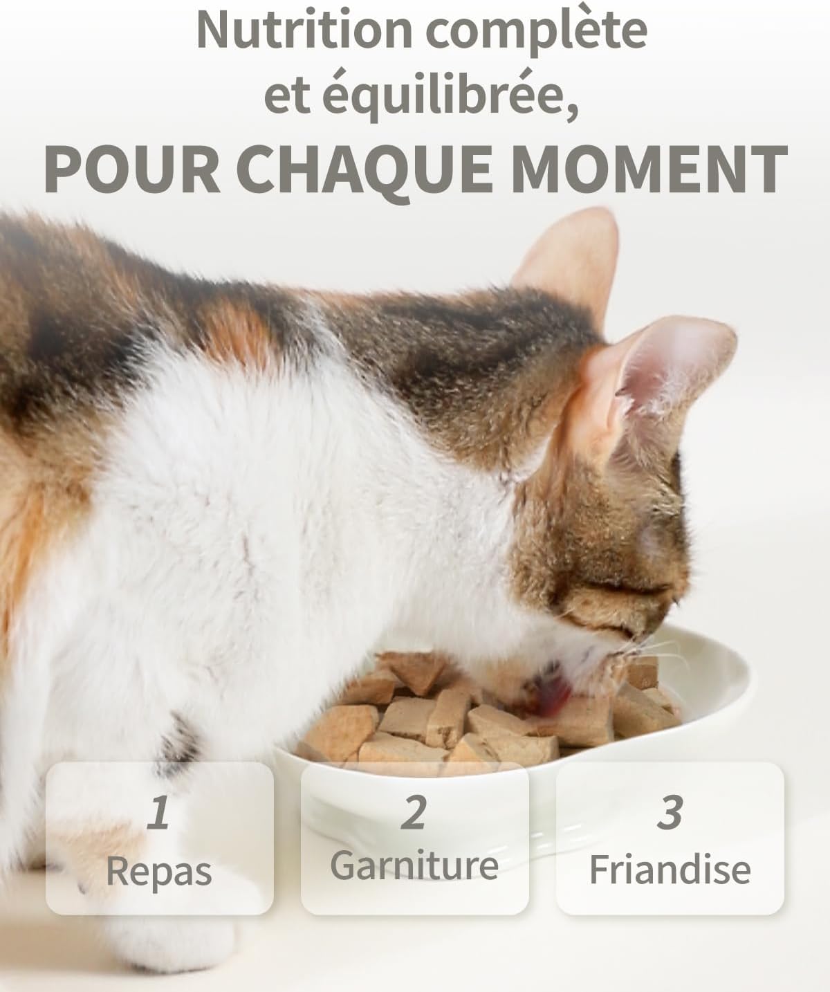 Freeze-Dried Cat Food, 97% Animal Origin Soft Dry Food for Cats Kitten, High Protein Healthy Freeze Dried Cats Raw Treat & Topper (Pork Recipe - 14 Ounce)