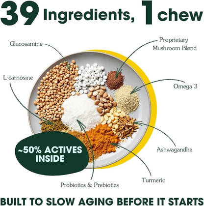 Arterra Longevity Multivitamin for Dogs – 50% Active Ingredients – Vet-Formulated Daily Soft Chews for Gut, Brain, Joint & Immune Health – Human-Grade Supplement | 30 Count