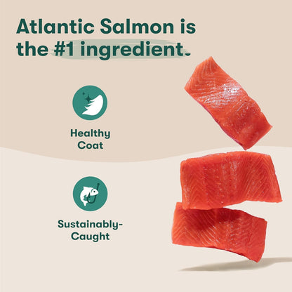 Jinx Dog Food Bundle - 4lb Salmon Dry Dog Food & 8-Pack Homemades Salmon & Chicken Wet Food Pouches (3-oz)