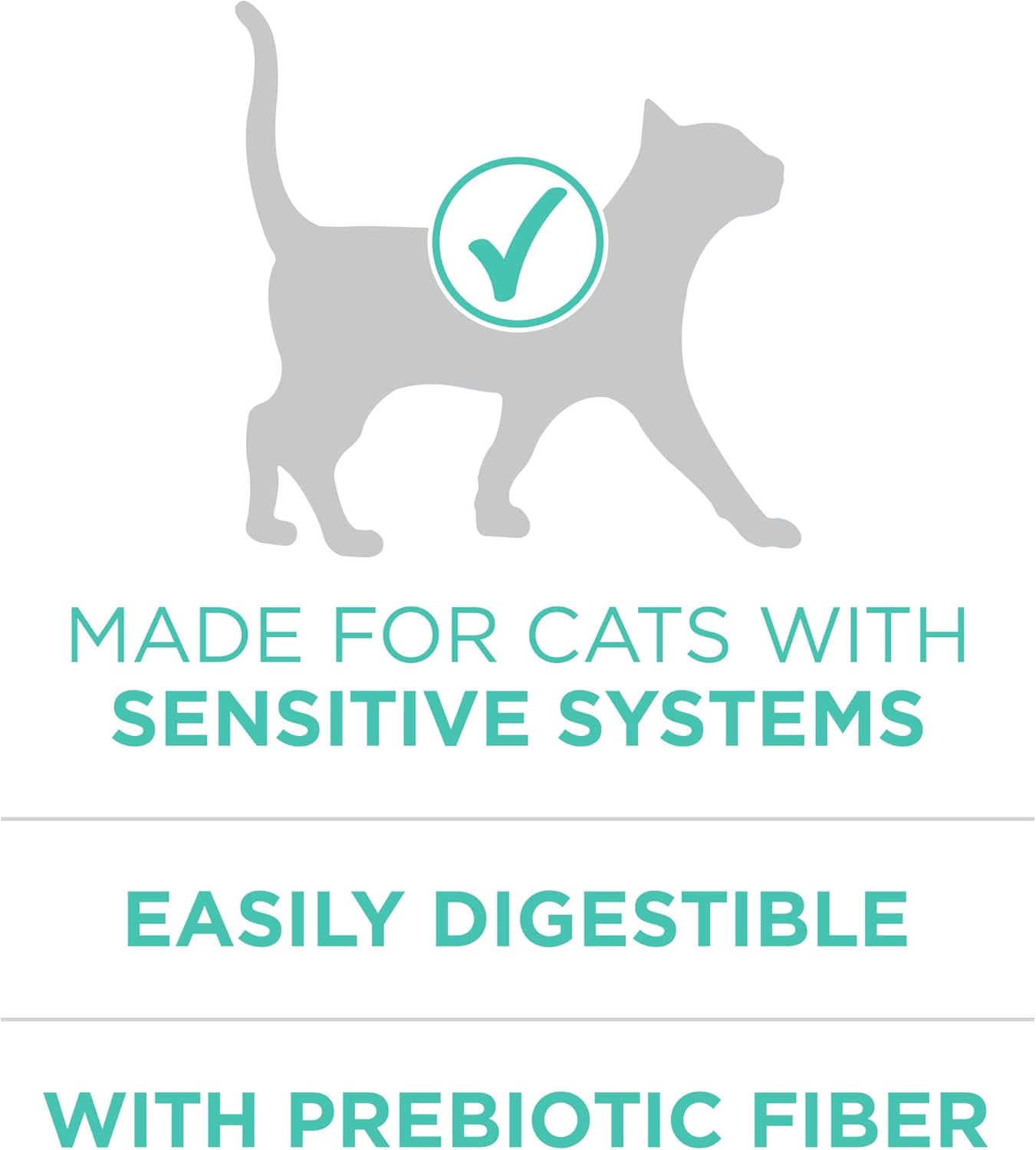 Purina ONE Sensitive Stomach, Sensitive Skin, Natural Dry Cat Food, +Plus Sensitive Skin and Stomach Formula - 7 lb. Bag