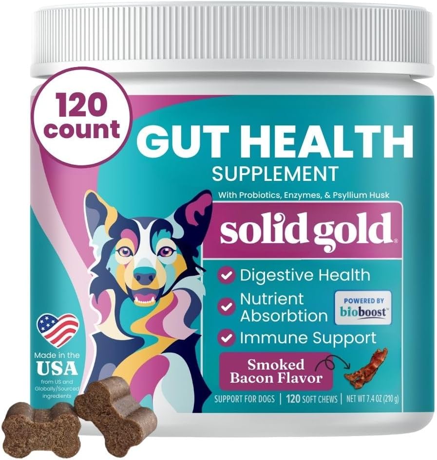 Solid Gold Dog Probiotics for Digestive Health - Probiotics for Dogs with Fiber & Digestive Enzymes for Bowel Support & Gut Health - Bacon Flavor Soft Chews to Support Digestion for All Ages - 120ct