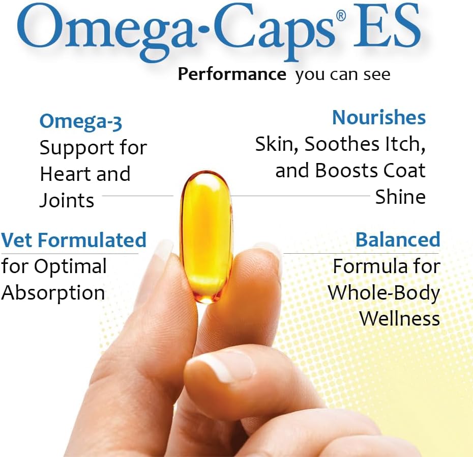 Omega Caps ES Extra Strength for Large and Giant Dogs Omega-3 and Omega-6 Fatty Acid Antioxidant Supplement Vet Formulated Made in USA Skin Coat Joint Heart and Immune Health 60 Softgel Capsules
