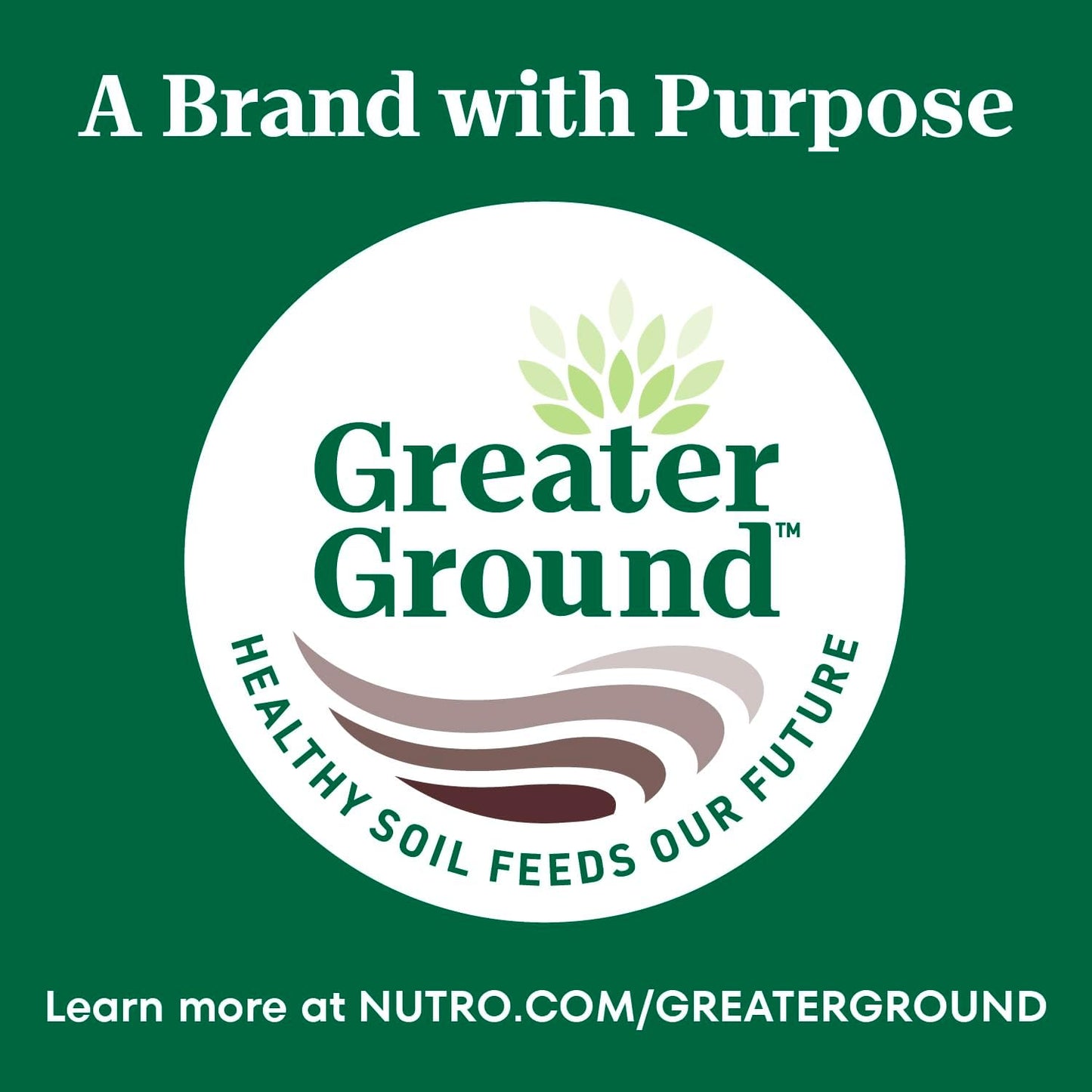 Nutro Wholesome Essentials Hairball Control Cat Food Dry Chicken & Brown Rice Recipe, 5 lb. Bag