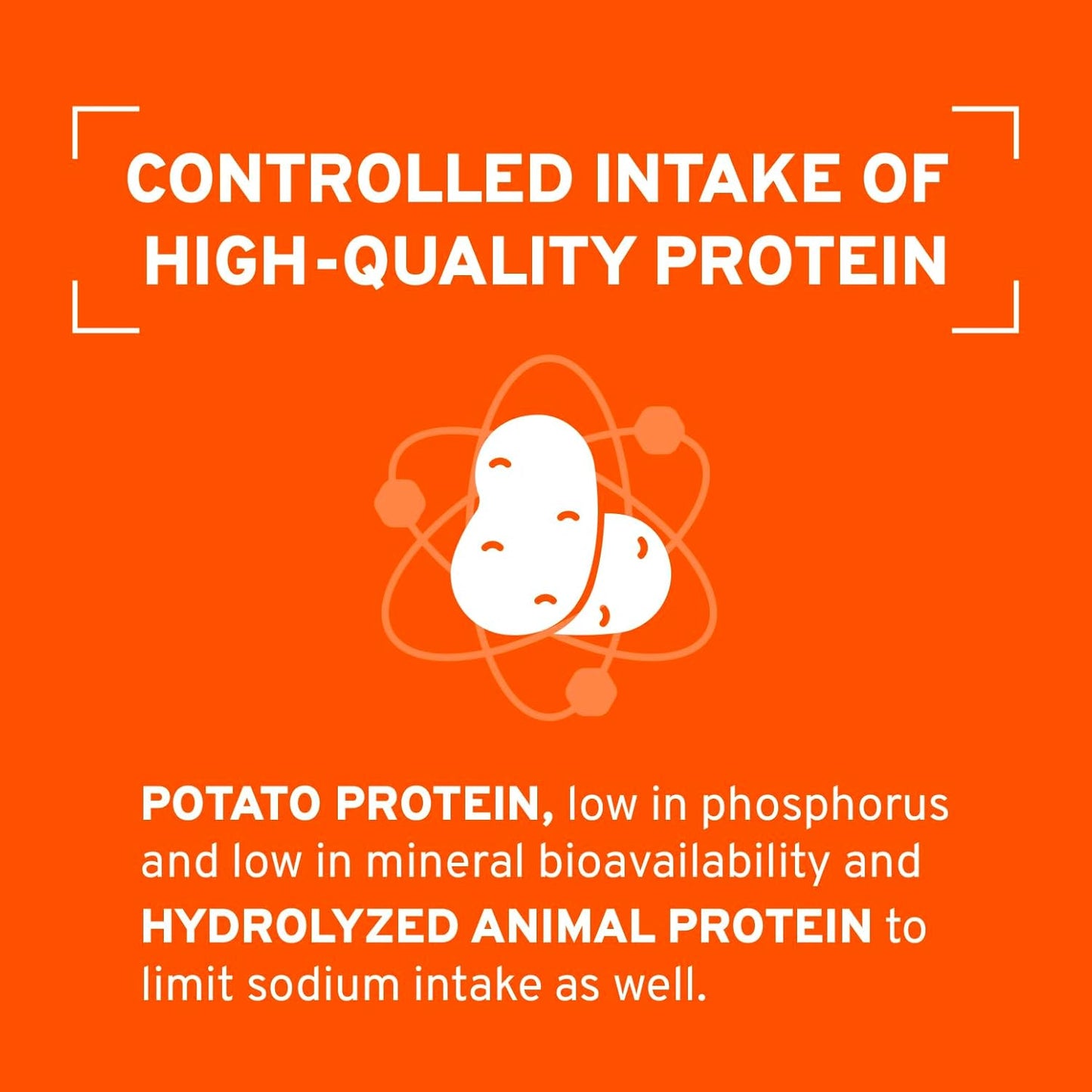 Forza10 - Cat Food, Limited Ingredient Cat Food for Kidney Support, Non-GMO, Fish Flavor, Crafted for Adults, Made in Italy (3.3 lb)