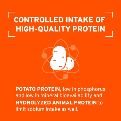 Forza10 - Cat Food, Limited Ingredient Cat Food for Kidney Support, Non-GMO, Fish Flavor, Crafted for Adults, Made in Italy (3.3 lb)