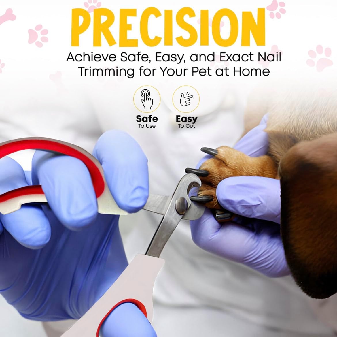 Essential Pet Supplies: Pet Collar for Small Dogs with Reflective AirTag Holder and Secure,Comfortable Padding Bundled with Safe Dog Nail Clippers and Self-Cleaning Dog Brush