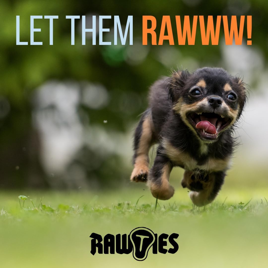 Premium Freeze-Dried Raw Beef Patties for Dogs – 100% USA-Sourced Raw Meat Dog Food – Grain-Free, No Fillers, High Protein Nutrition for Small & Large Breeds