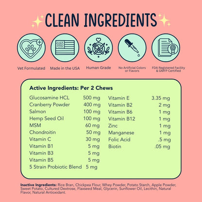 Dog Multivitamin Supplement - Glucosamine, MSM, Chondroitin for Joint Support, Gut Support with Probiotics, Skin and Coat with Omegas-3s - Bacon (120ct)
