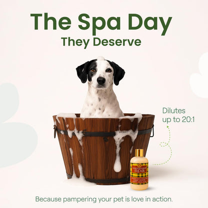 Best Shot Scentament Spa Refreshing Body & Facial Wash for Dogs & Cats, Waterless Dog Wash & Tear Stain Remover, Pet Gentle Face Wash for Sensitive Skin, Sugar Cookie Scent, 16 fl oz