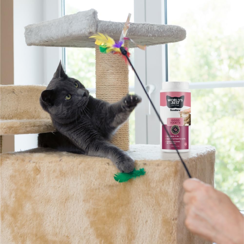 WORLD'S BEST CAT LITTER® Boosters™ Good Habits™ | Natural and Sustainable Cat Litter Additive | Attracts Your Cat to The Litter Box and Helps Avoid Accidents | Plant-Based Attractant | 18 oz Canister