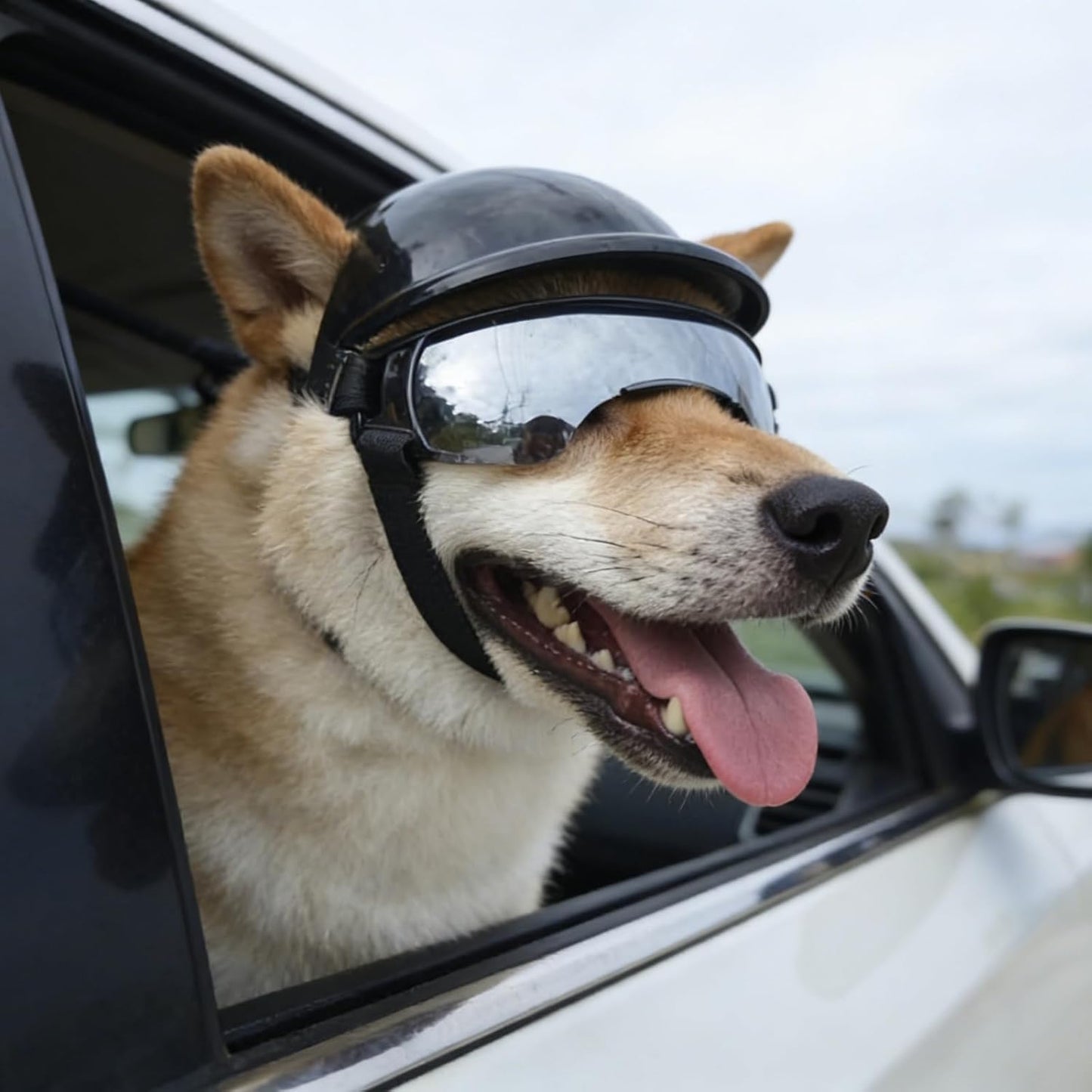 2 PCS Dog Helmet and Goggles Set, S Size Pet Motorcycle Helmet with Silver Lens Sunglasses, Lightweight Protective Gear for Small Dogs, Head Circumference 14.6 in